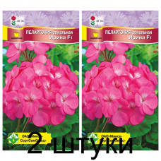 Пеларгония зональная Ирина F1, семена 4шт (Cerny Seed, Чехия) -2шт