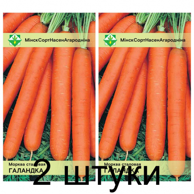 Семена. Морковь Голландка столовая 1г -2шт