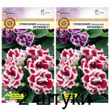 Семена. Глоксиния прекрасная Брокейд F1 7шт -2шт