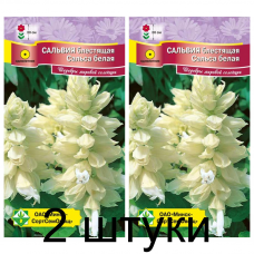 Семена. Сальвия блестящая Сальса белая 10шт -2шт