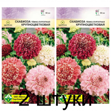 Семена. Скабиоза темно-пурпурная Крупноцветковая см 0.5г -2шт