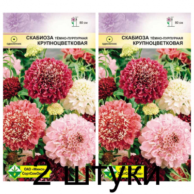 Семена. Скабиоза темно-пурпурная Крупноцветковая см 0.5г -2шт