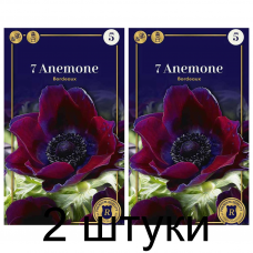 Семена. Анемона Bordeaux (R. De Ree) -2шт