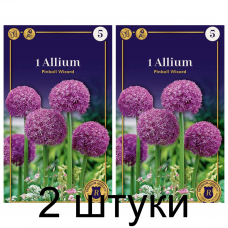 Семена. Аллиум Pinball Wizard (R. De Ree) -2шт