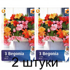 Семена. Бегония Cascade Mix (R. De Ree) -2шт