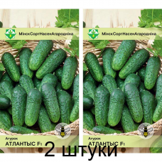 Огурец Атлантис F1, 10 семян (Bejo Zaden, МССО) -2шт