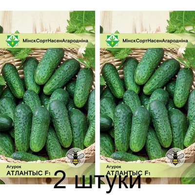 Огурец Атлантис F1, 10 семян (Bejo Zaden, МССО) -2шт