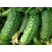 Огурец Атлантис F1, 10 семян (Bejo Zaden, МССО) -2шт