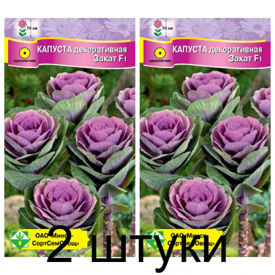 Семена. Капуста декоративная Закат F1 7шт -2шт