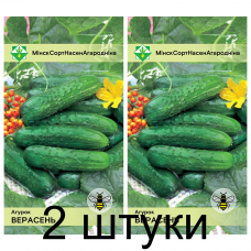 Семена. Огурец Верасень 0.6г -2шт