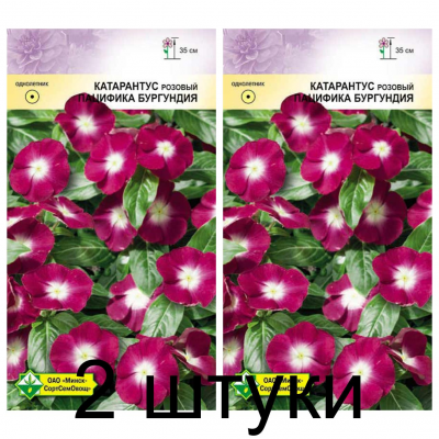Семена. Катарантус розовый Пацифика Бургундия 10шт -2шт