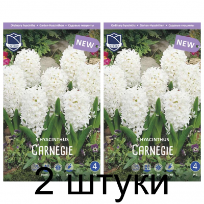 Семена. Гиацинты Carnegie (Lefeber) -2шт