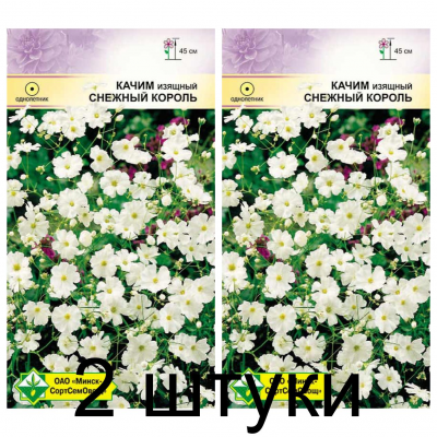 Семена. Качим изящный Снежный король 0.5г -2шт