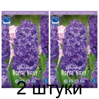 Семена. Гиацинты Royal Navy (Lefeber) -2шт