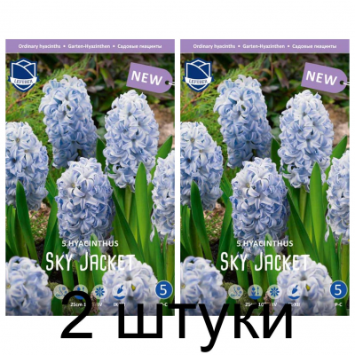Семена. Гиацинты Sky Jacket (Lefeber) -2шт