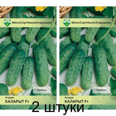 Огурец белорусской селекции Колорит F1 0,5г (Институт овощеводства НАН) -2шт