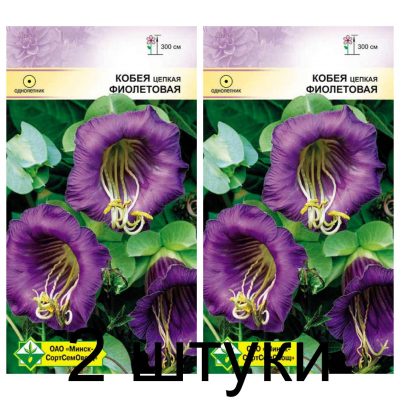 Семена. Кобея цепкая Фиолетовая 5шт -2шт