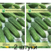 Огурец корнишон Конни F1, 10 семян (Satimex, Германия) -2шт Огурец корнишон Конни F1, 10 семян (Satimex, Германия) -2шт