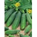 Огурец корнишон Конни F1, 10 семян (Satimex, Германия) -2шт