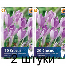Семена. Крокусы Vanguard (R. De Ree) -2шт