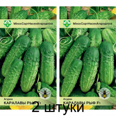 Огурец белорусской селекции Коралловый риф F1 0,6г (Институт овощеводства НАН) -2шт