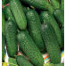 Огурец корнишон Кузьмич F1, 10 семян (Satimex, Германия) -2шт