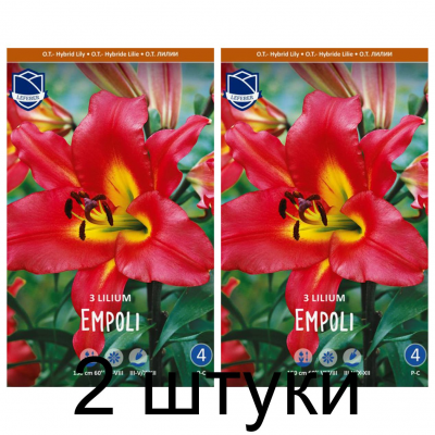 Семена. Лилия O.T. Empoli (Lefeber) -2шт