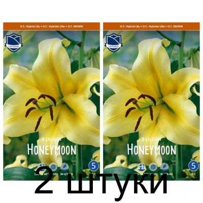 Семена. Лилия O.T. Honeymoon (Lefeber) -2шт