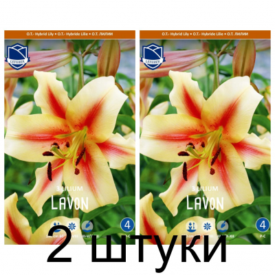 Семена. Лилия O.T. Lavon (Lefeber) -2шт