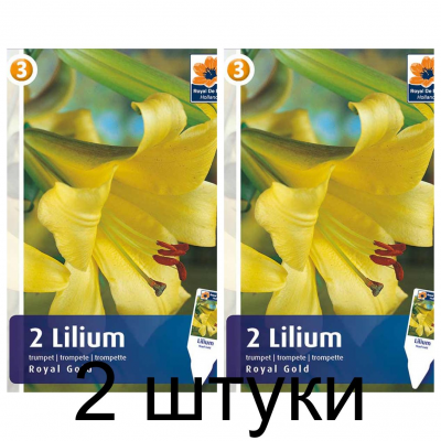 Семена. Лилия Royal Gold (R. De Ree) -2шт