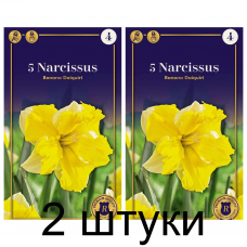 Семена. Нарциссы Banana Daiquiri (R. De Ree) -2шт