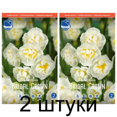Семена. Нарциссы Bridal Crown (Lefeber) -2шт