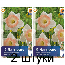 Семена. Нарциссы British Gamble (R. De Ree) -2шт