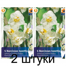 Семена. Нарциссы Cheerfulness (R. De Ree) -2шт
