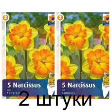 Семена. Нарциссы Congress (R. De Ree) -2шт