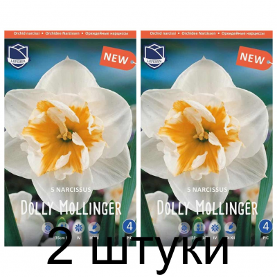 Семена. Нарциссы Dolly Mollinger (Lefeber) -2шт