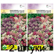 Семена. Лобулярия морская Магические цвета 0.2г -2шт