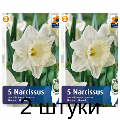 Семена. Нарциссы Mount Hood (R. De Ree) -2шт