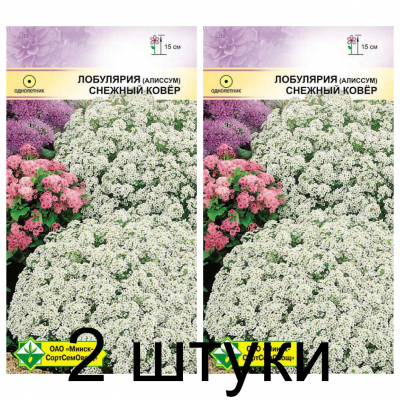 Семена. Лобулярия морская Снежный ковер 0.2г -2шт