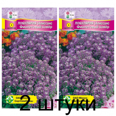 Семена. Лобулярия морская Фиолетовый ковер 0.2г -2шт