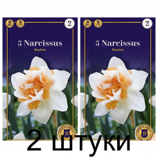 Семена. Нарциссы Replete (R. De Ree) -2шт