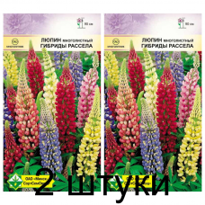 Семена. Люпин многолистный Гибриды Рассела см 1г -2шт