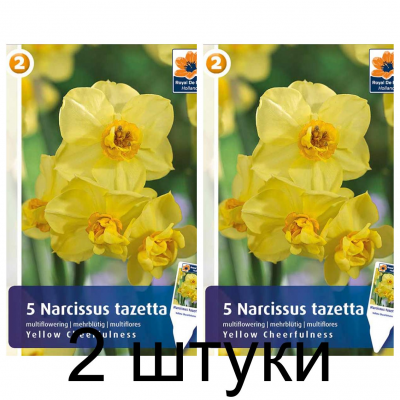Семена. Нарциссы Yellow Cheerfulness (R. De Ree) -2шт