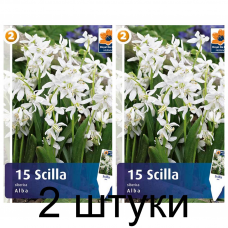 Семена. Сцилла siberica Alba (R. De Ree) -2шт
