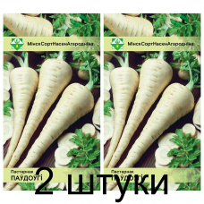 Пастернак Полудлинный, 1г (W.Legutko, Польша) -2шт