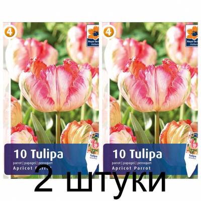 Семена. Тюльпаны Apricot Parrot (R. De Ree) -2шт