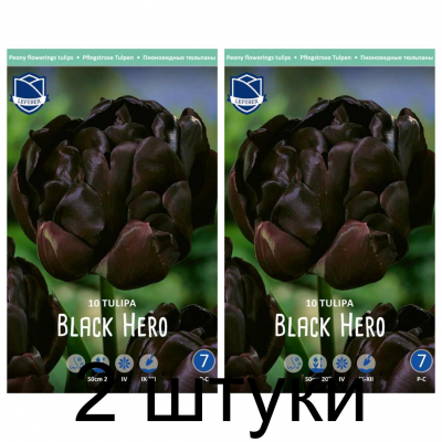 Семена. Тюльпаны Black Hero (Lefeber) -2шт