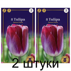Семена. Тюльпаны Kansas Proud (R. De Ree) -2шт