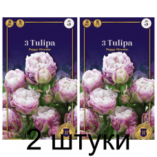 Семена. Тюльпаны Peggy Wonder (R. De Ree) -2шт