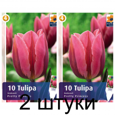Семена. Тюльпаны Pretty Princess (R. De Ree) -2шт